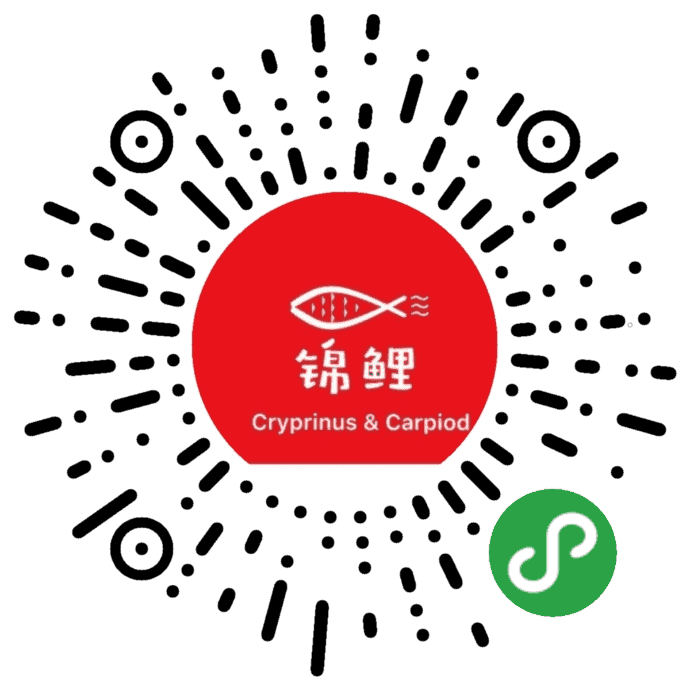 微信小程序商城掃碼進(jìn)入